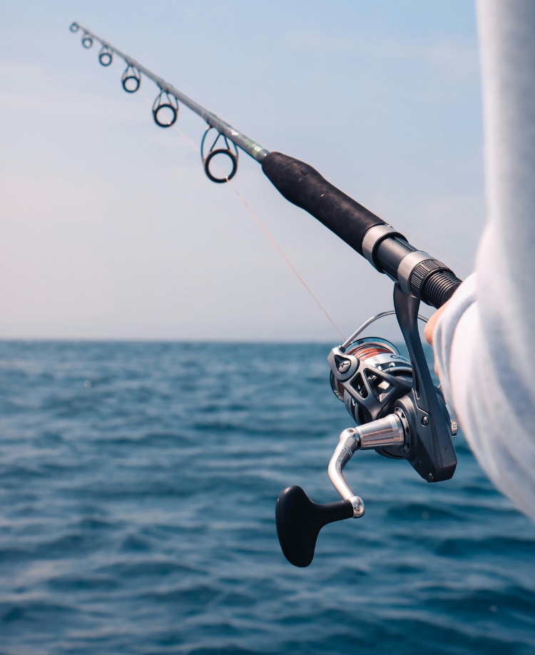 CAST. CATCH. CONQUER.
